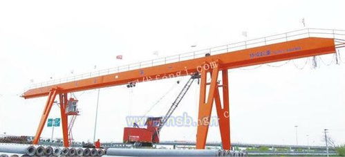 安徽合肥起重機(jī)廠家電動(dòng)葫蘆門(mén)行車